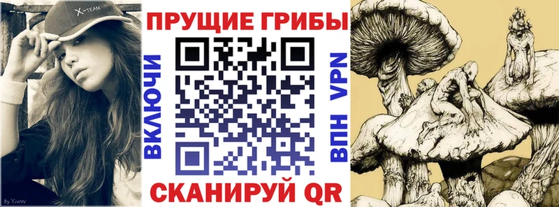 Купить  Октябрьский  Галлюциногенные грибы GOLDEN TEACHER 